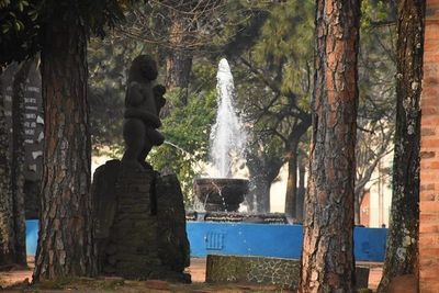 Misiones; anuncian jornada fresca y cielo parcialmente nublado