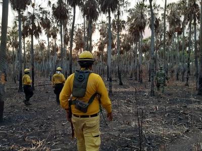 Confirman existencia de 7.853 focos de fuego en todo el país