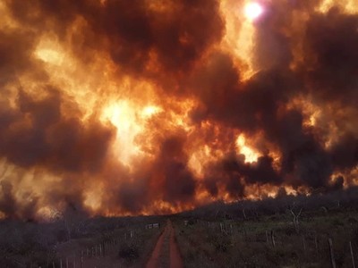 Gobierno declara emergencia ambiental para los departamentos de Boquerón y Alto Paraguay