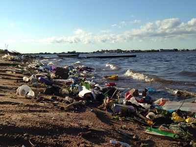 Guyra Paraguay invita a la jornada de limpieza 'Un día por tu Bahía'