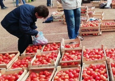 Productores repetirán feria en plaza Ciudad Nueva