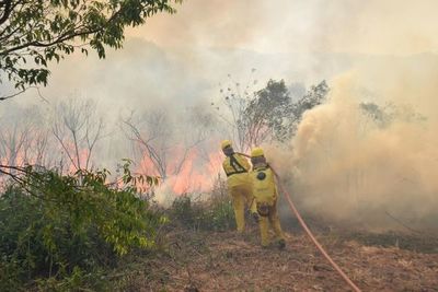 Abrirán cortafuegos en frontera con Bolivia para frenar incendios