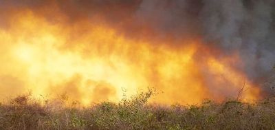 Fuego incontrolable en el pantanal paraguayo