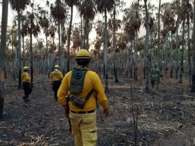 Incendios repercuten en la salud de gran sector de la población, advierten