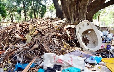 Preocupa alto índice de infestación larvaria en Ayolas