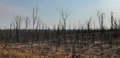 Infona investiga a 15 dueños de estancias por incendios forestales