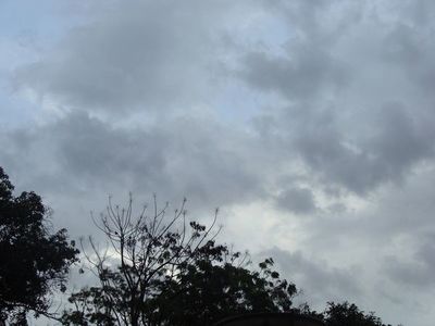 Anuncian lluvias dispersas hasta el viernes