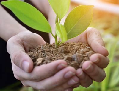 Empresa "Futuro" se suma la campaña "Paraguay Planta" de "A todo Pulmón"