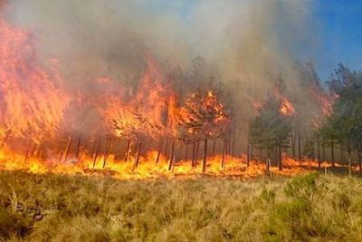 Incendios en Bolivia ya consumieron más de 4 millones de hectáreas