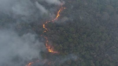Estancieros que provoquen incendios serían expulsados de la ARP