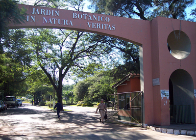 Ciudadanos se manifiestan en contra de la tala de arboles frente al Botánico