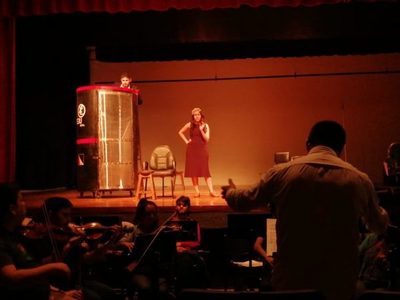 FADA y OSN presentan "Las Bodas de Figaro"