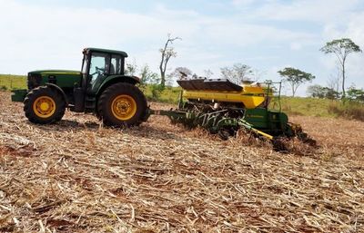 Sequía atrasa la siembra de soja y complica planificación de variedades