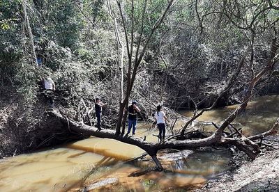 Intervienen curtiembre instalada en Paraguarí