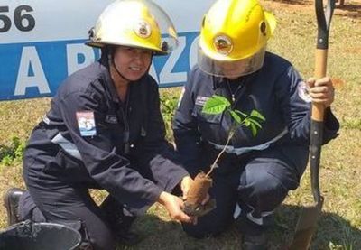 Bomberos fomentan la reforestación