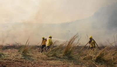 Arde nuevamente el Parque Nacional Caazapá