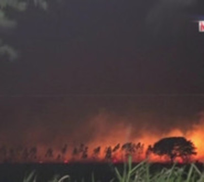 Incendio de gran magnitud consume varias hectáreas en Ypacaraí