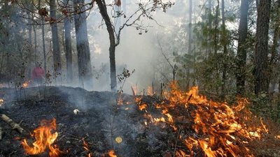 Continúan focos de incendios en zonas de San Bernardino e Ypacaraí