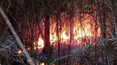 Controlan incendio en el Cerro Patiño