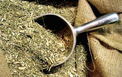 Yerba mate paraguaya estará presente en la mayor feria de alimentos del mundo