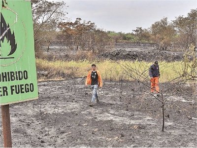 Cerca de 20 parques y reservas ya fueron afectados por los incendios