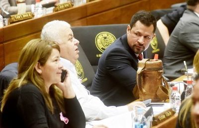 Diputados insisten en reglamentar expulsiones