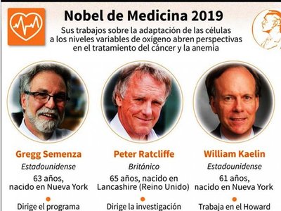 Nobel de Medicina premia estudios sobre vínculo entre células y oxígeno