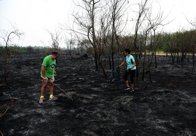 Iniciativa ambientalista de funcionarios de la SET busca reforestar Parque Guasu