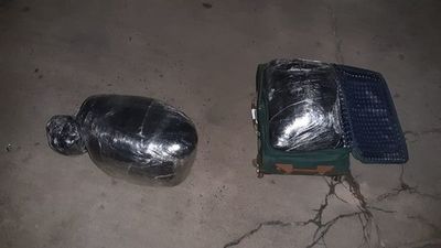 Incautan 20 kilos de marihuana en taller de buses