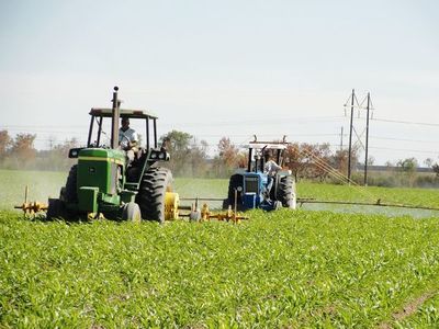 Las lluvias generan "suspiro optimista" en el sector productivo