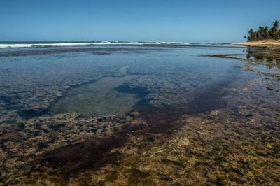 En Brasil, derrame de petróleo llega a las playas y afecta arrecifes de coral