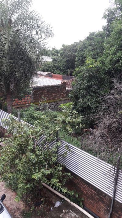Criaderos de mosquitos y alimañas