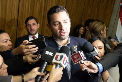 Alliana esquiva participación con idea de seccionaleros