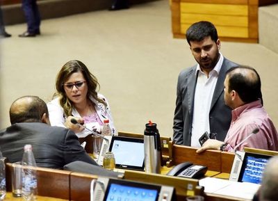 Diputados pedirán regular “repartija” de las multas en Aduanas y el MIC