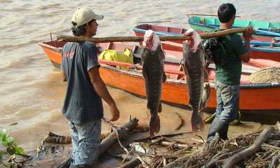 Diputado insta a pescadores a respetar la veda que arranca este lunes