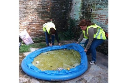 Activan alarmas ante aumento considerable de casos de dengue en el país