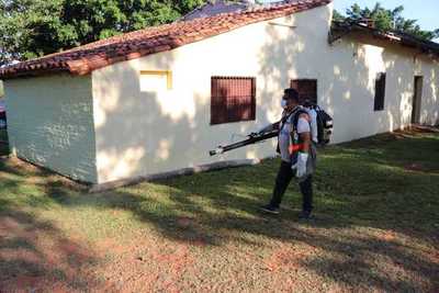 Piden colaboración de la ciudadanía para luchar contra el dengue