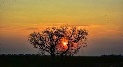 Anuncian un lunes caluroso y sin lluvias para el sur
