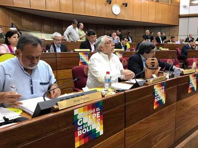 Senado no aprueba proyecto de Declaración sobre golpe en Bolivia
