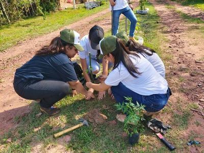Quieren plantar 500 arbolitos para fortalecer el área verde en Itauguá