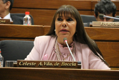 “Una partida de maestras burras lo que tenemos”, aseguró la diputada Amarilla