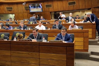 Diputados cede a presión y deja sin efecto el "colchón" para salariazos en 2020