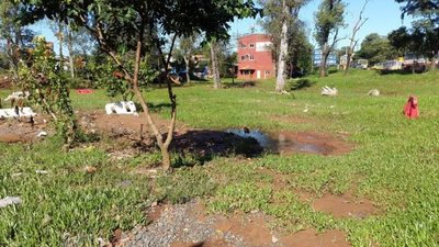 Metrobus: Deben preservar Ykua ubicado en Triangulo de avda. Del Agrónomo