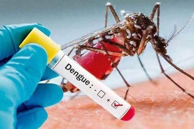 Crean un test para detectar el dengue con una nueva estructura de ADN