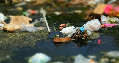 Desidia e inconsciencia minan de basura tóxica los cursos de agua