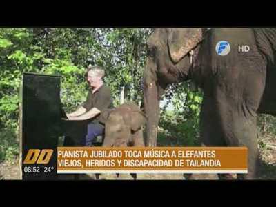 Coldplay anunció la cancelación de sus giras para cuidar el medio ambiente