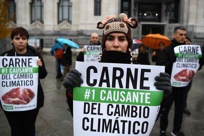 Los mitos sobre el cambio climático que arrecian ante la COP25