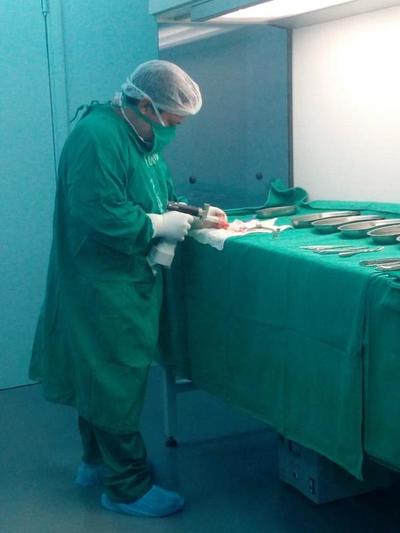 Suma registro de donantes de huesos en el país