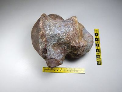Encuentran un primer fósil de dinosaurio enano en el sur de Ecuador