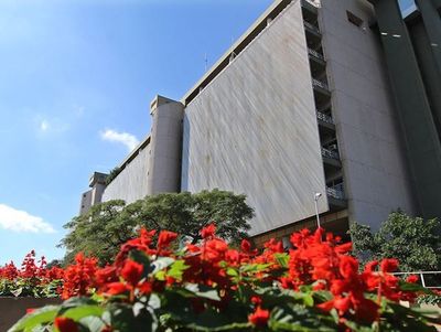 La economía paraguaya crecerá 4,1 % en el 2020, según el Banco Central. Este año se ubicó en 0,2%